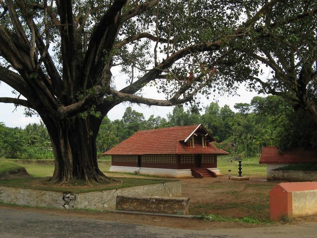 Wayanad Gate Resort Mananthavady Eksteriør billede