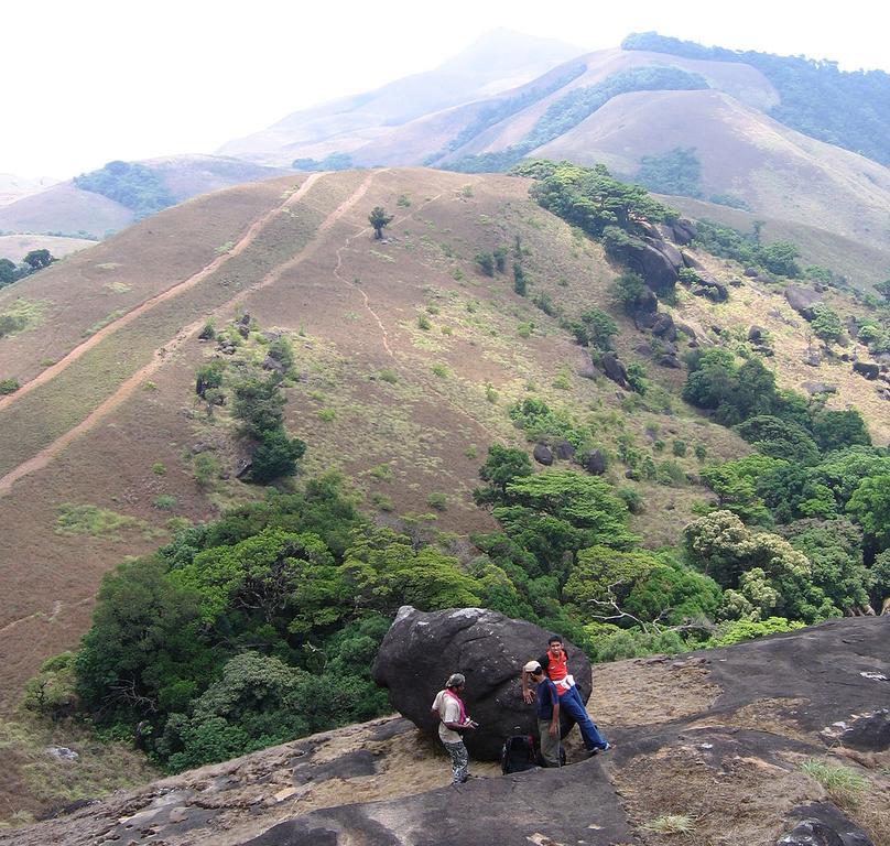 Wayanad Gate Resort Mananthavady Eksteriør billede