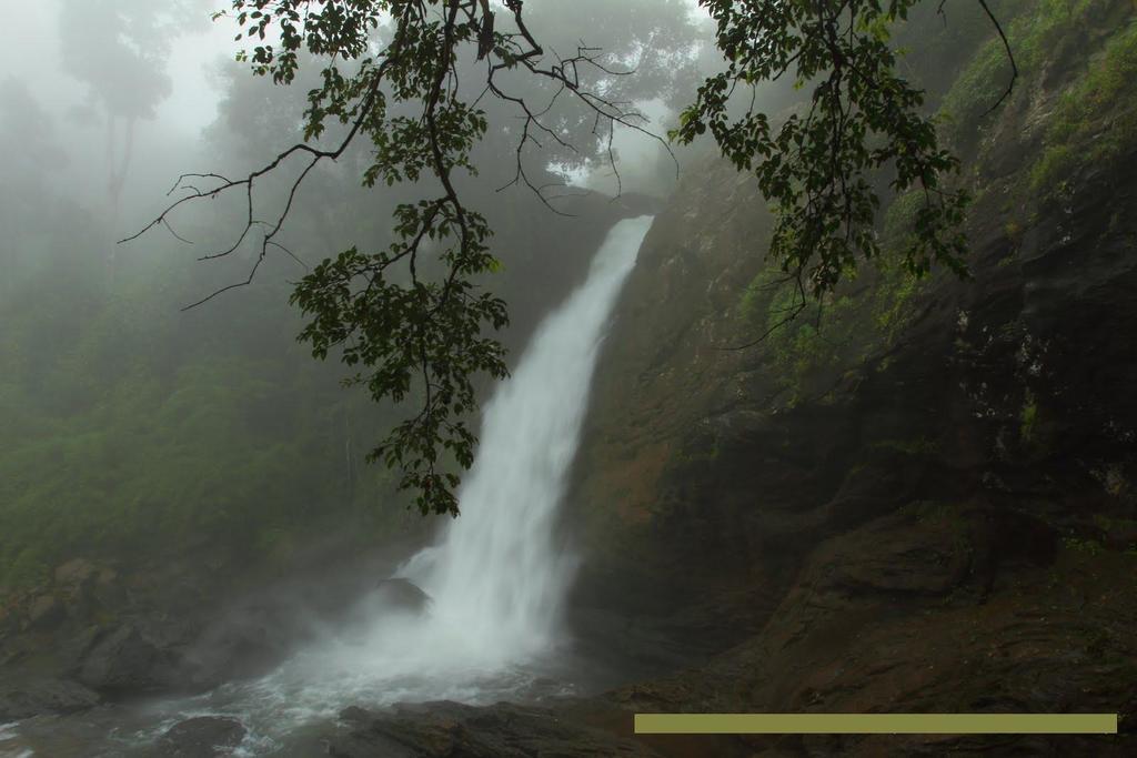 Wayanad Gate Resort Mananthavady Eksteriør billede