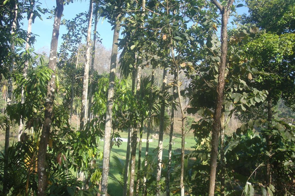 Wayanad Gate Resort Mananthavady Eksteriør billede